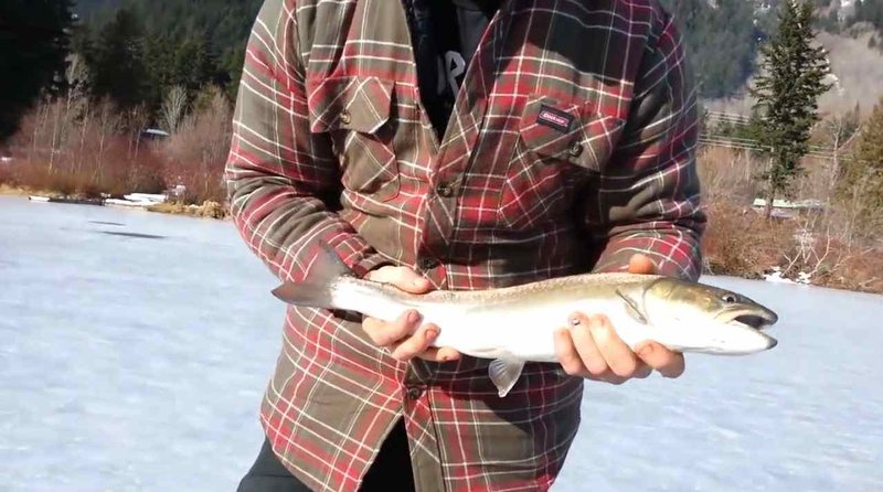 Overview of ice fishing game
