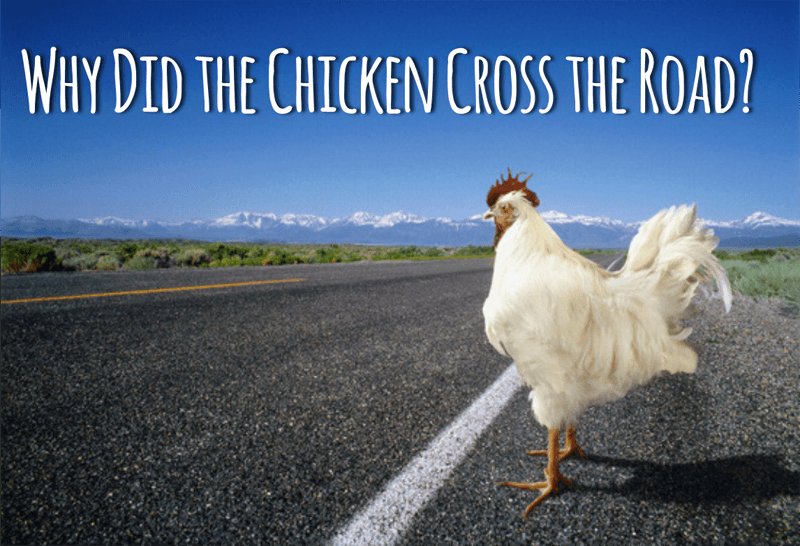 Descubre el mundo emocionante de Chicken Road Casino en España - overview