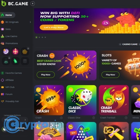 Comprehensive Guide to BC.Game Contact Information -797842105